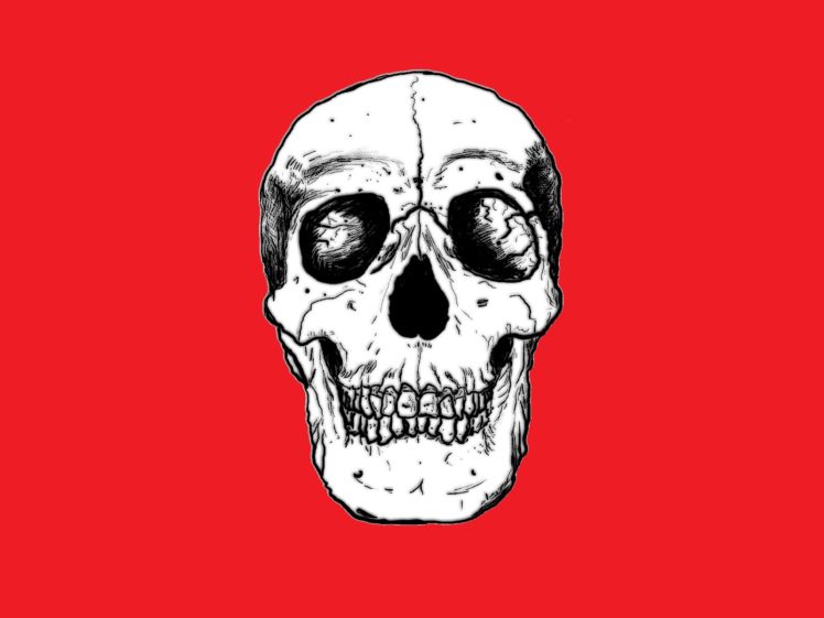 skulls HD Wallpaper Desktop Background