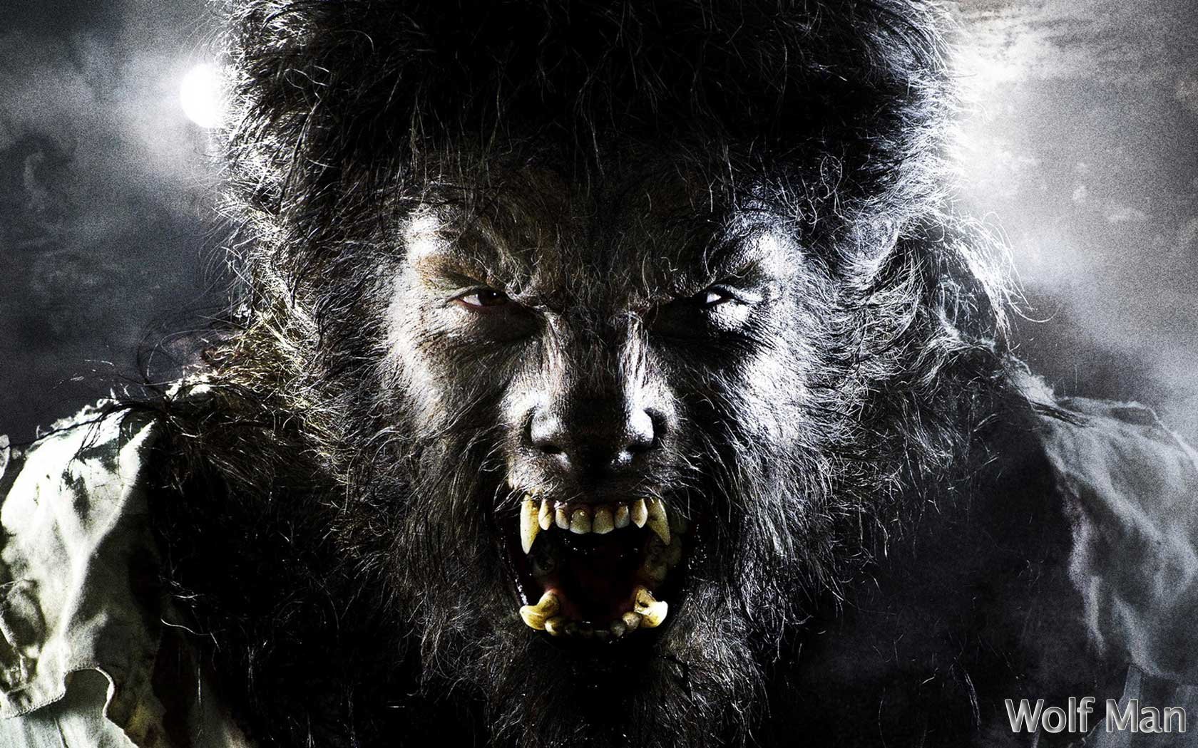 werewolves Wallpaper