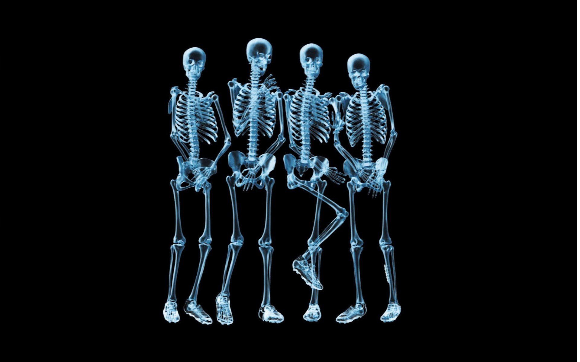 skeletons, X ray, Black, Background Wallpaper