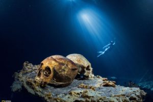 light, Skulls, Nature, National, Geographic, Underwater, Snorkeling, Cenote, Cave