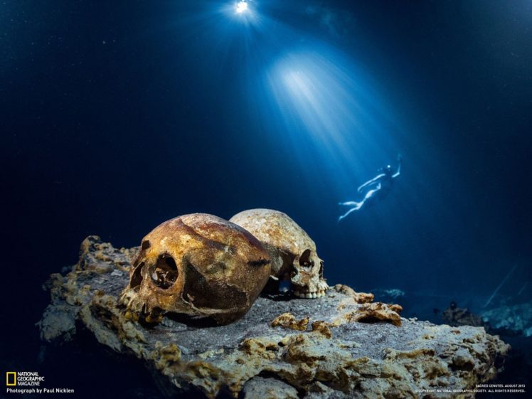 light, Skulls, Nature, National, Geographic, Underwater, Snorkeling, Cenote, Cave HD Wallpaper Desktop Background