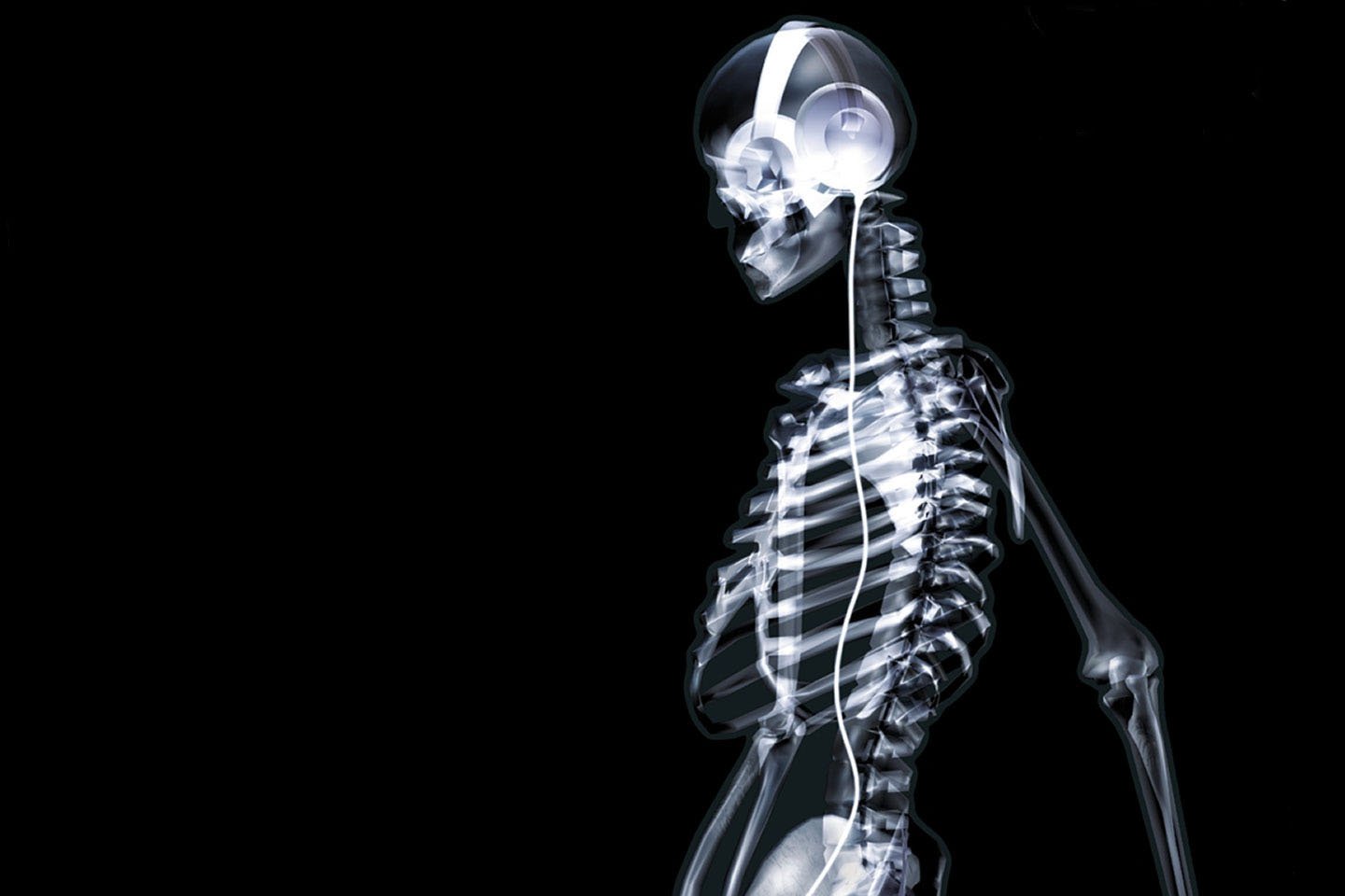headphones, Skeletons Wallpaper