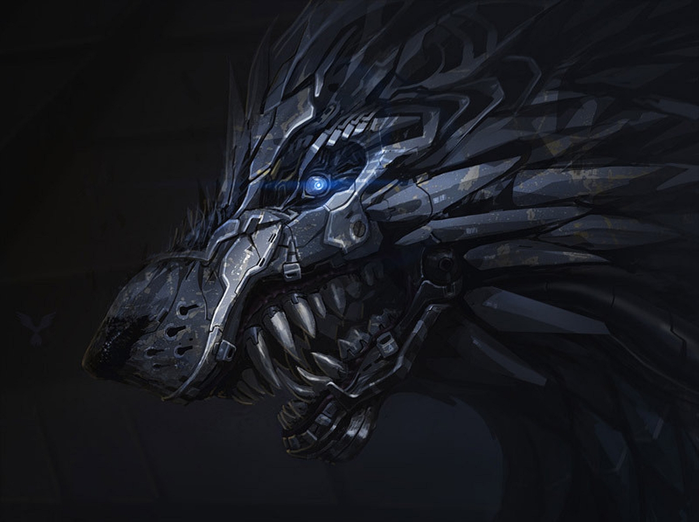 40675 Wallpaper