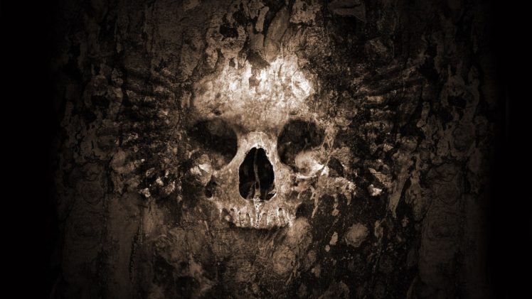 skull,  , Horror HD Wallpaper Desktop Background