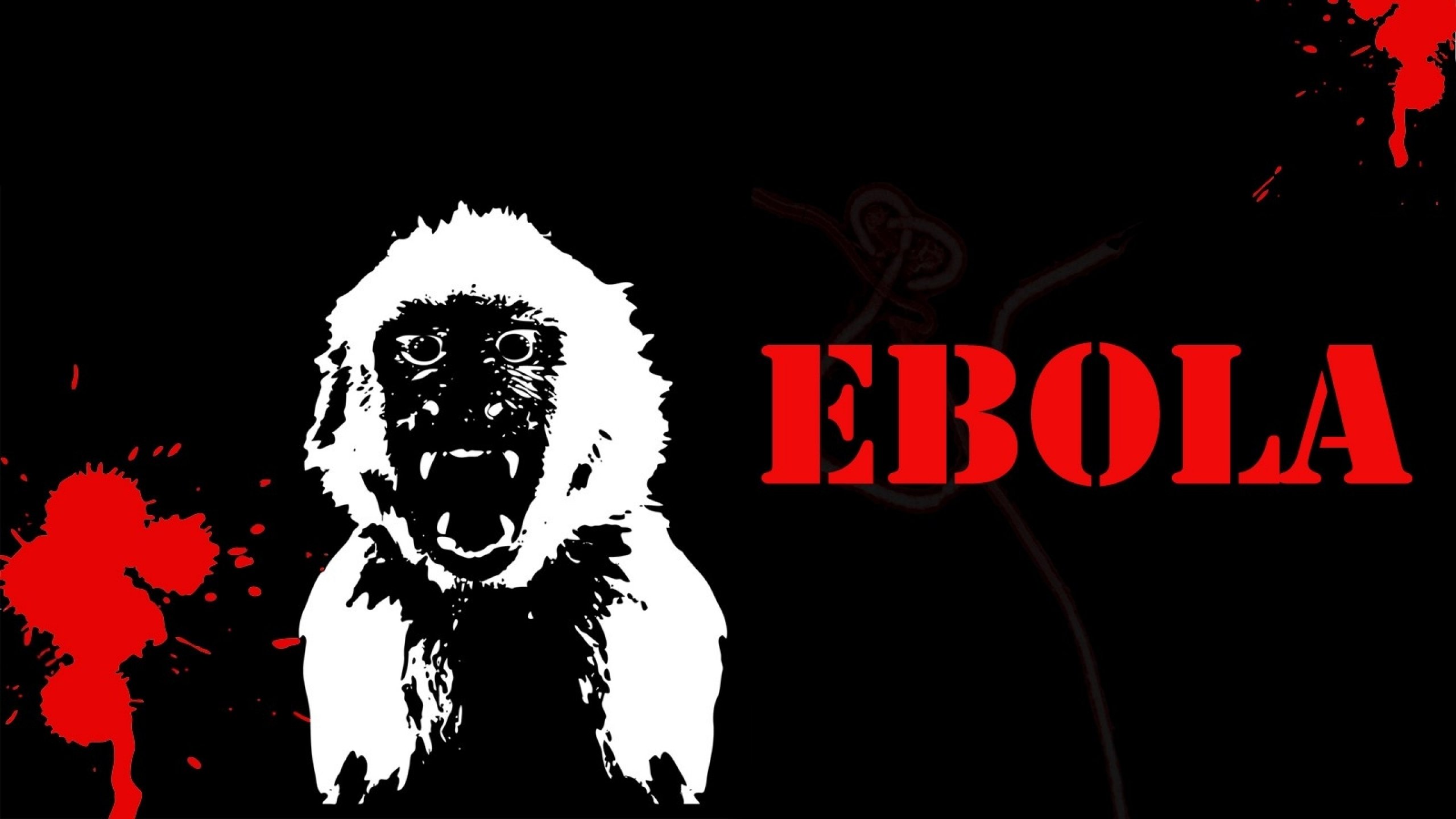 ebola, Virus, Disease, Medical, Dark, Horror, Monkey, Blood Wallpapers HD /  Desktop and Mobile Backgrounds
