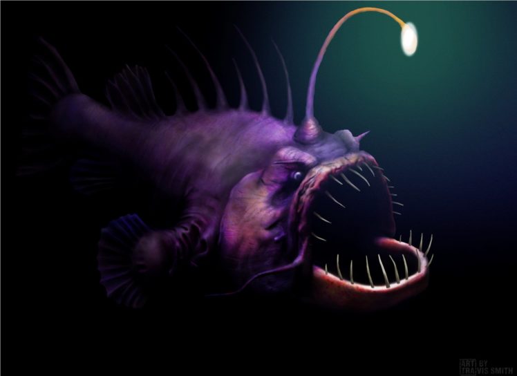 anglerfish, Fish, Ocean, Sea, Underwater, Dark, Creepy, Monster, Fangs HD Wallpaper Desktop Background