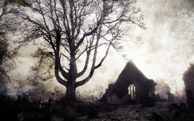tree, Cemetery, Gothic, Buildings, Ruins, Cross, Landscapes HD Wallpaper Desktop Background