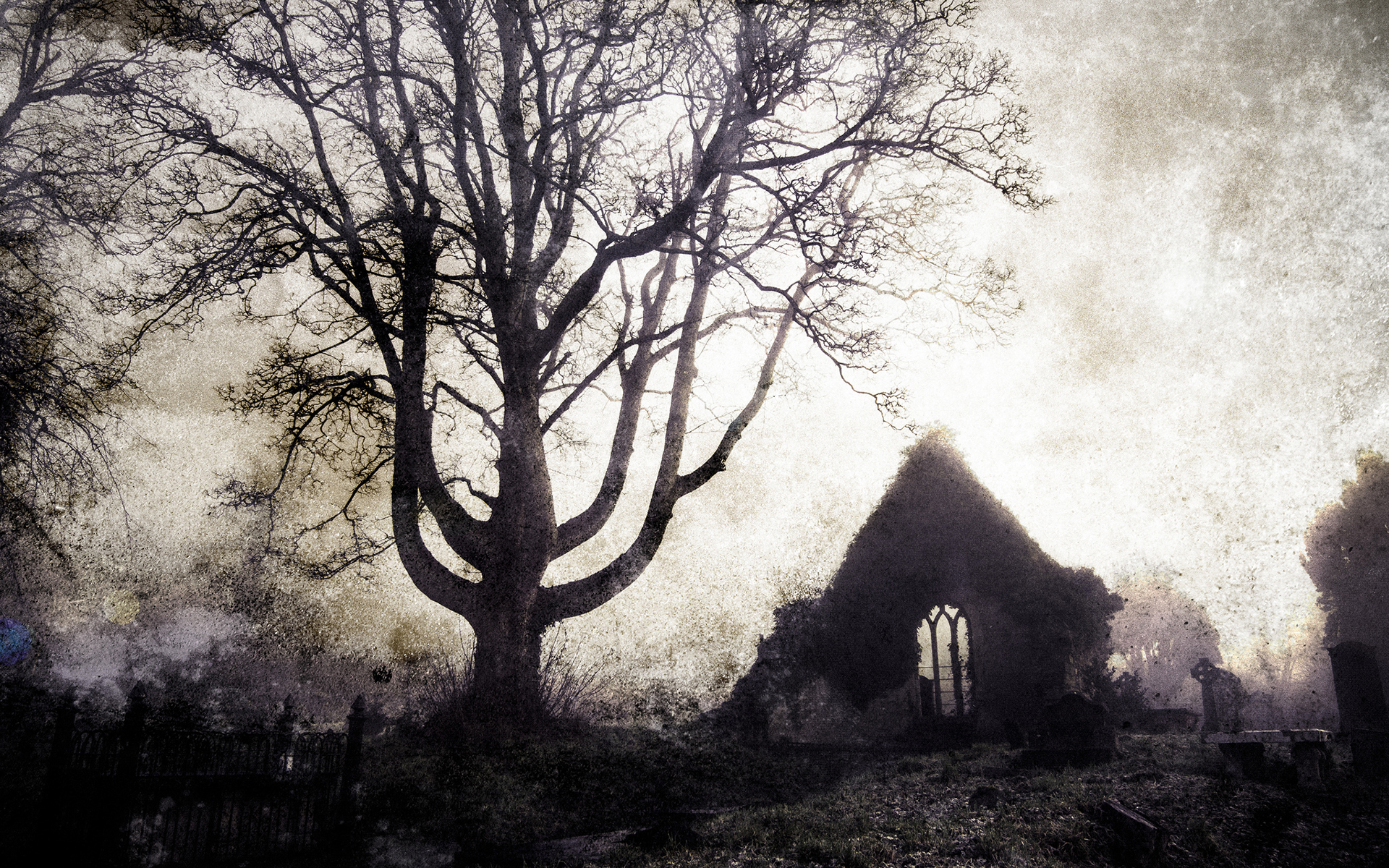 tree, Cemetery, Gothic, Buildings, Ruins, Cross, Landscapes Wallpaper