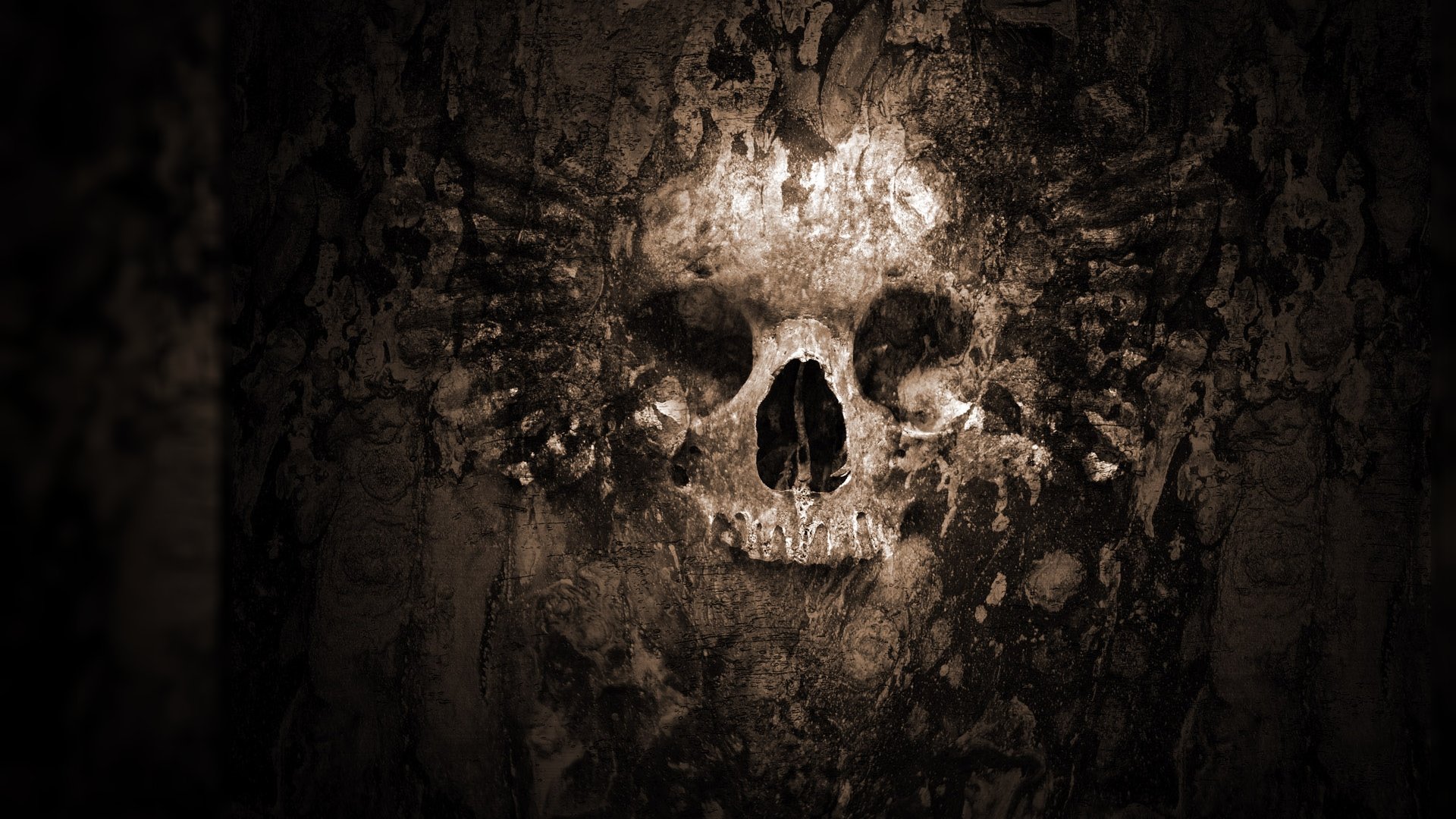 skull, Wallpaper Wallpaper
