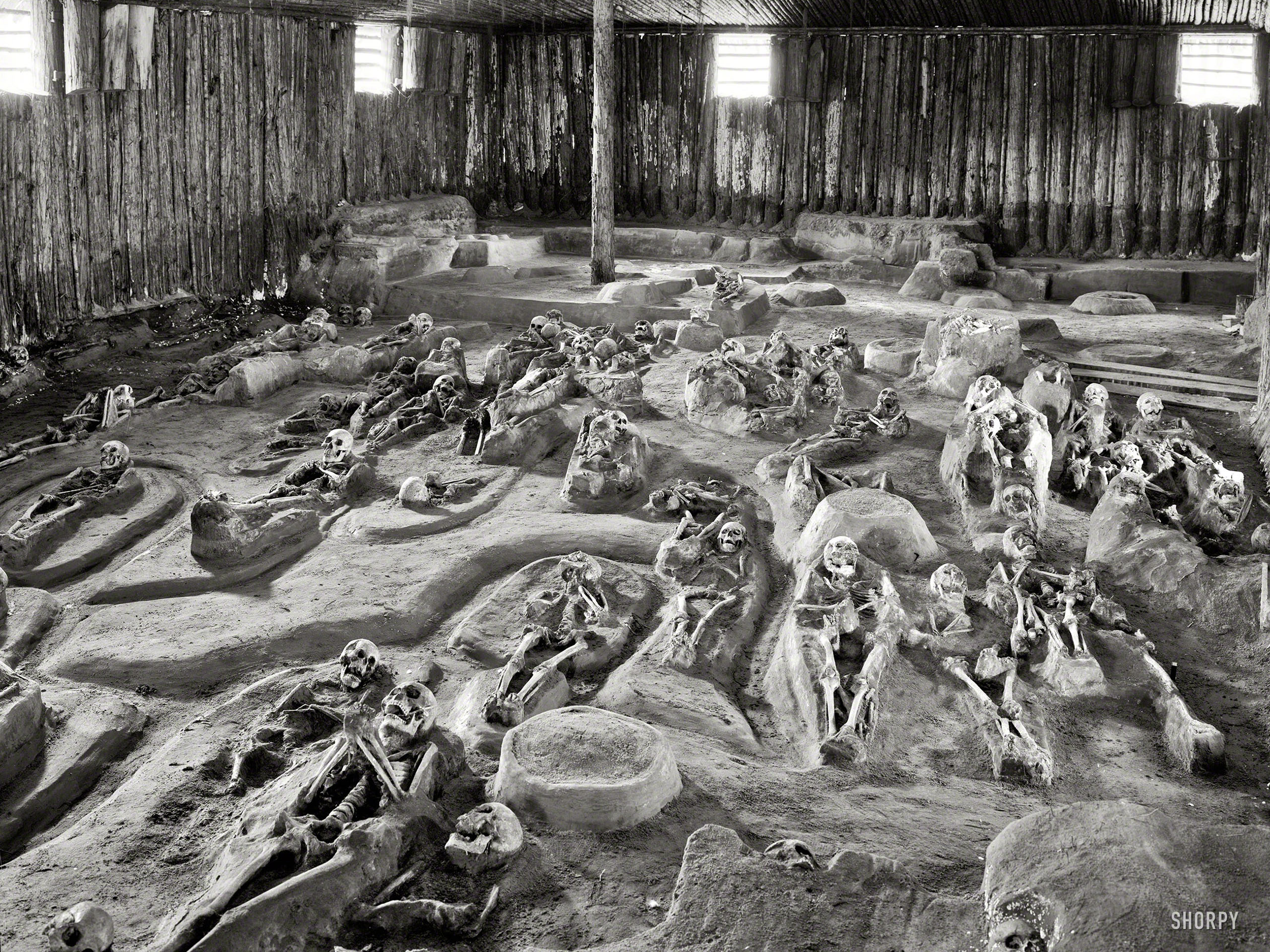 skeletons, Indian, Burial, Ground, Bw Wallpaper