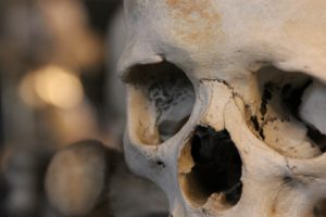 skull, Bones