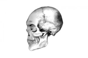 dark, Skull, Evil, Horror, Skulls, Art, Artwork, Skeleton