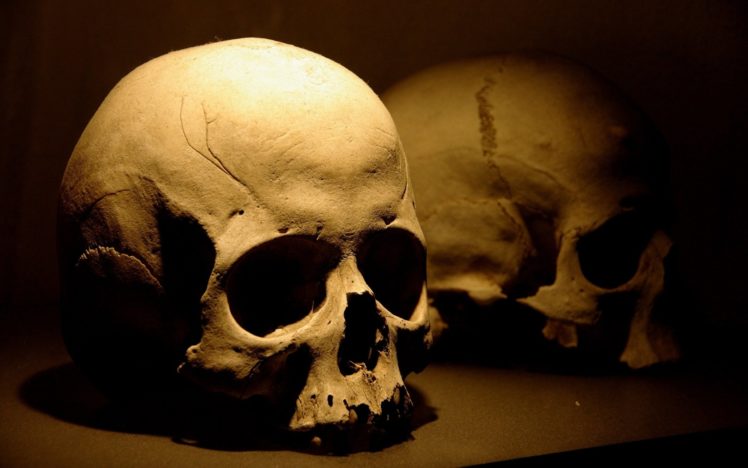 dark, Skull, Evil, Horror, Skulls, Art, Artwork, Skeleton HD Wallpaper Desktop Background
