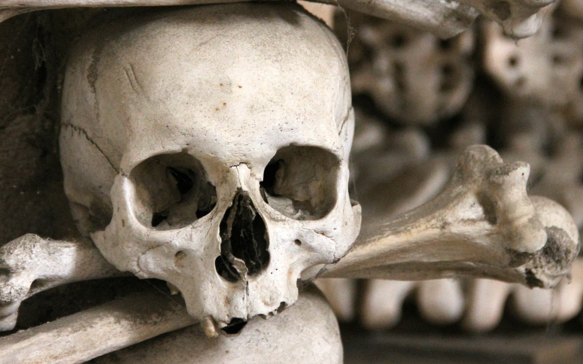 dark, Skull, Evil, Horror, Skulls, Art, Artwork, Skeleton Wallpapers HD