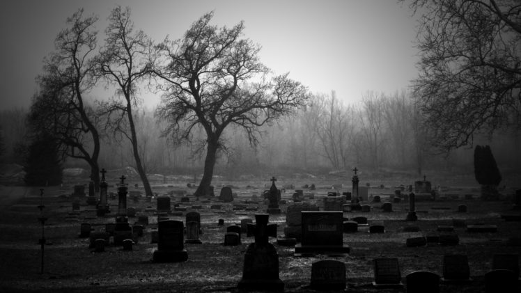 cemetery, Bw, Tombstones, Trees HD Wallpaper Desktop Background