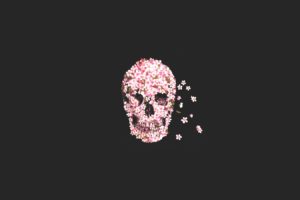 skull, Flowers, Minimal, Skulls