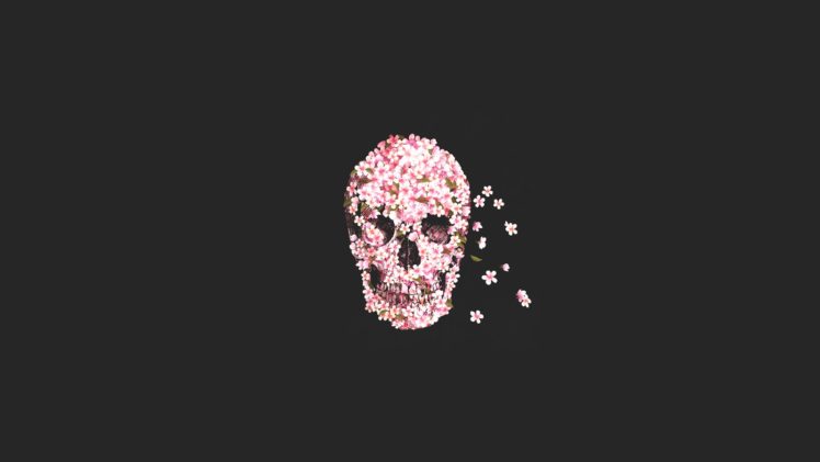 skull, Flowers, Minimal, Skulls HD Wallpaper Desktop Background