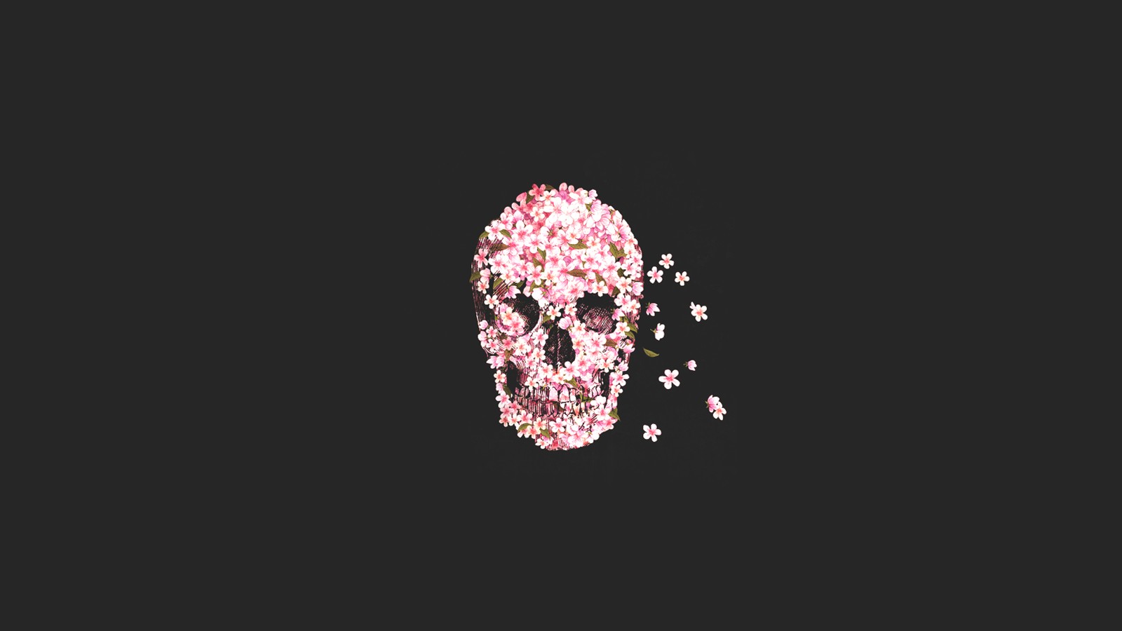 skull, Flowers, Minimal, Skulls Wallpaper