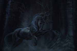 fantasy, Dark, Horse, Forest, Night, Horn, Tree