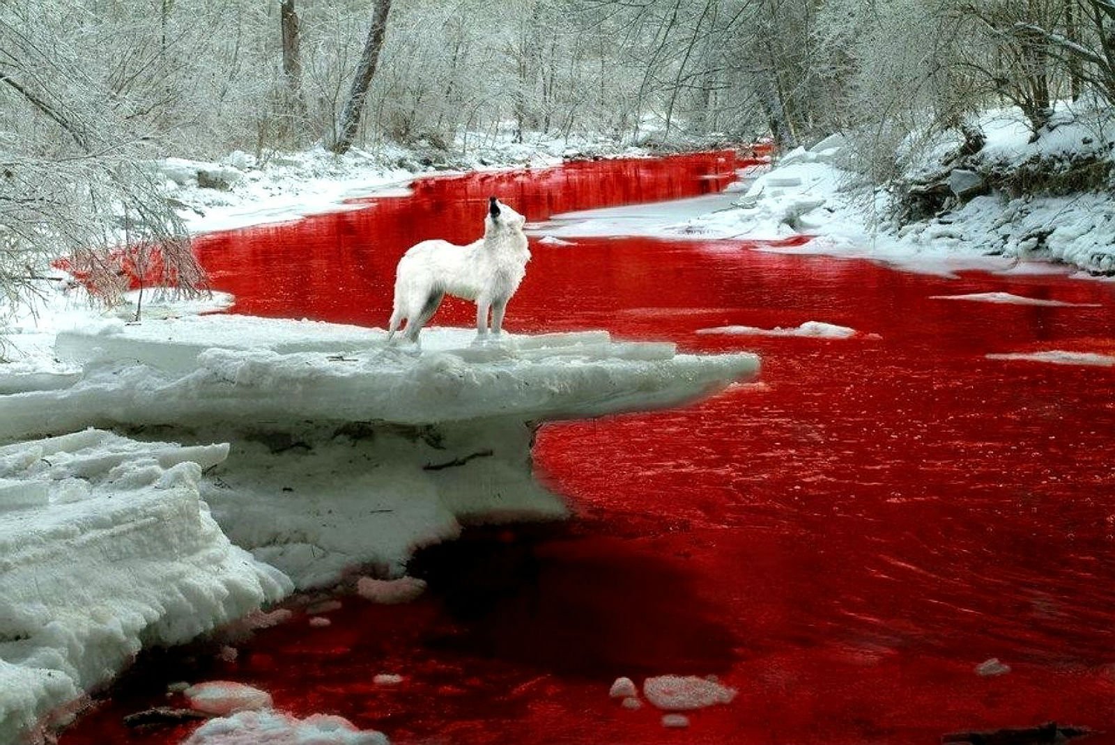 Кровавое озеро