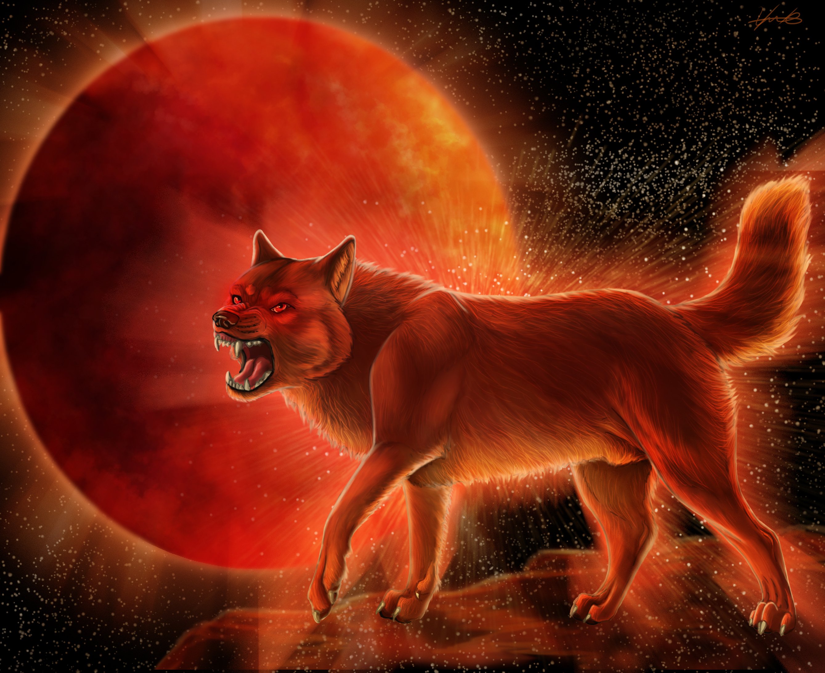 Красный волк злой