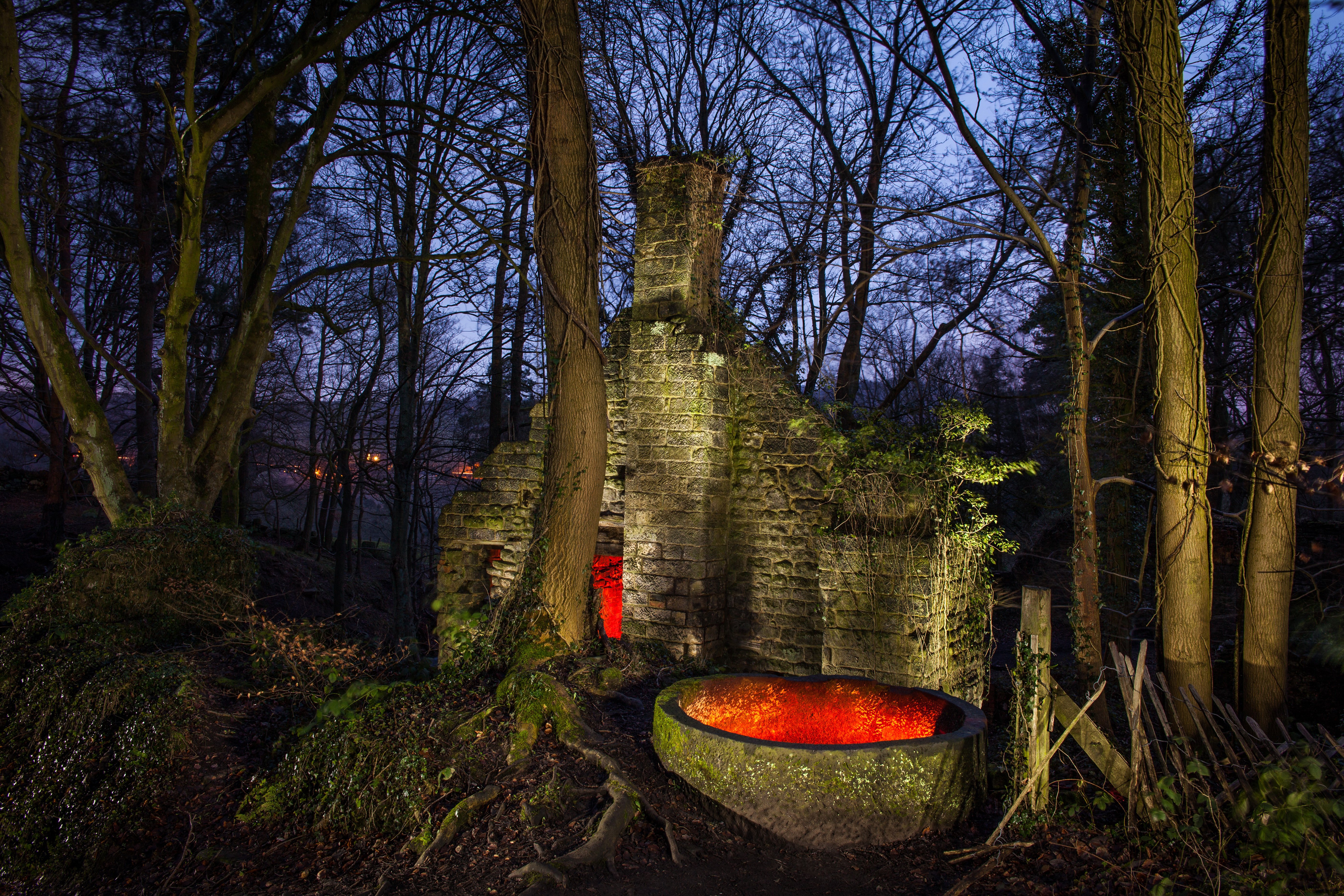 united, Kingdom, Trees, Trunk, Tree, Night, Lumsdale, Matlock, Nature Wallpaper