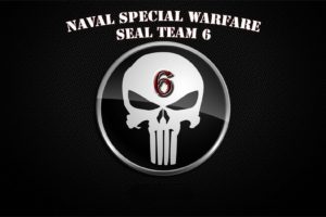 seal, Team, Military, Warrior, Soldier, Action, Fighting, Crime, Drama, Navy, 1stsix, Weapon, Rifle, Assault, Poster, Skull