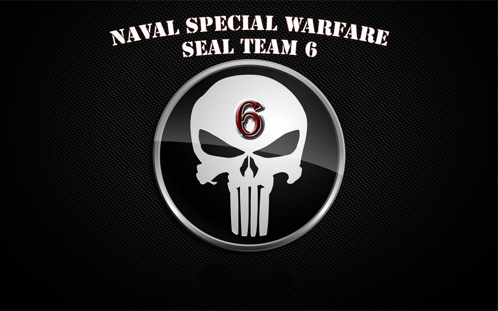 seal, Team, Military, Warrior, Soldier, Action, Fighting, Crime, Drama, Navy, 1stsix, Weapon, Rifle, Assault, Poster, Skull Wallpaper