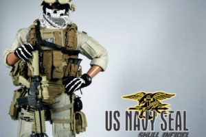 seal, Team, Military, Warrior, Soldier, Action, Fighting, Crime, Drama, Navy, 1stsix, Weapon, Rifle, Assault, Poster, Medal, Honor