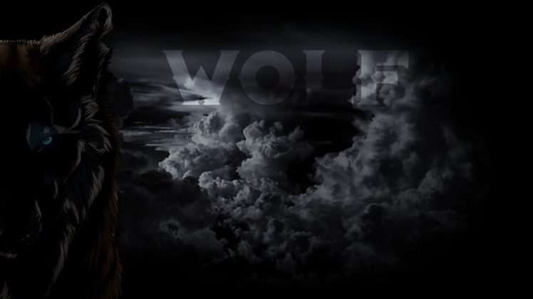 wolf, Tempest, Cloud, Serious, Danger, Da HD Wallpaper Desktop Background