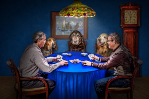men, Dogs, Cards, Game, Poker, Situation, Chips, Clock, Funny