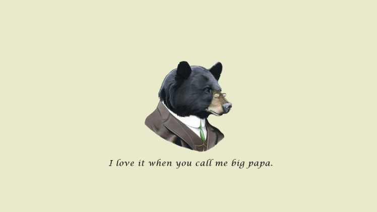 wtf, Humor, Funny, Bear HD Wallpaper Desktop Background