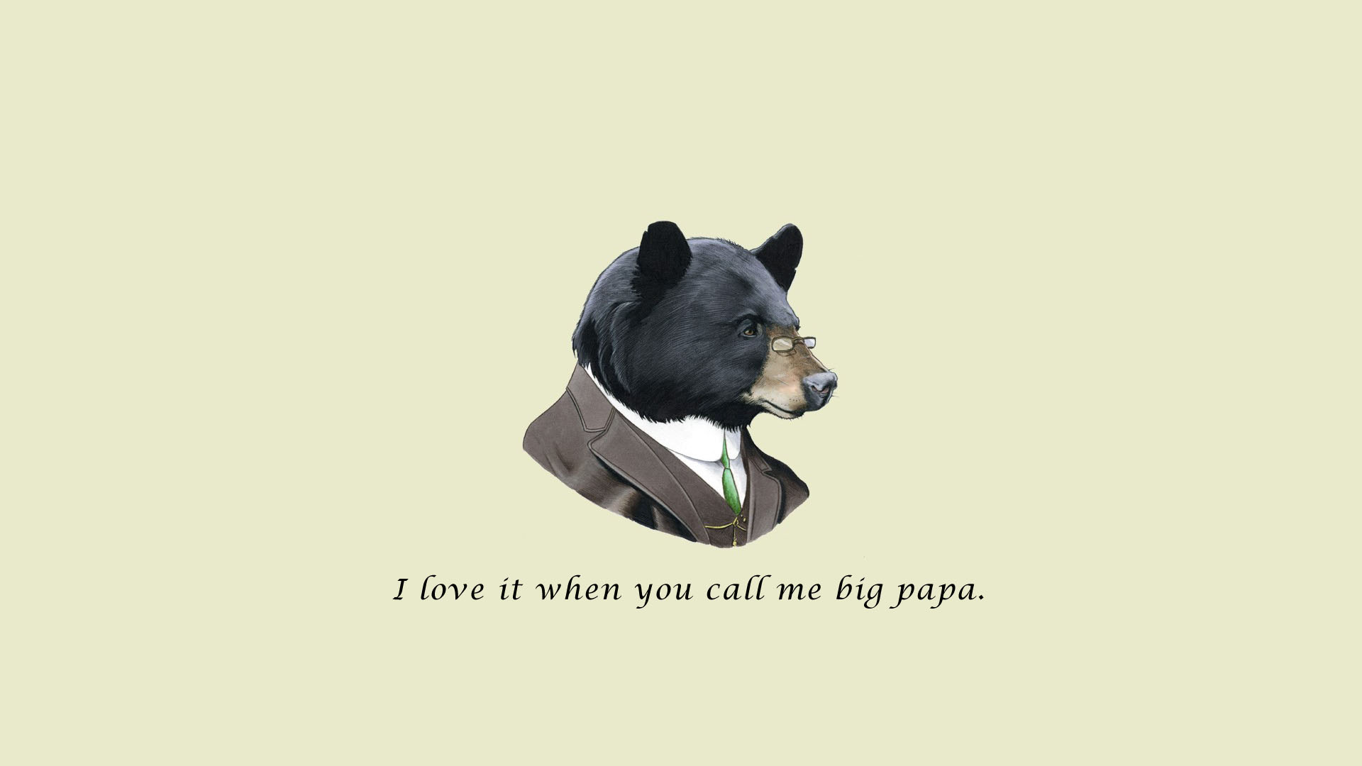 wtf, Humor, Funny, Bear Wallpaper
