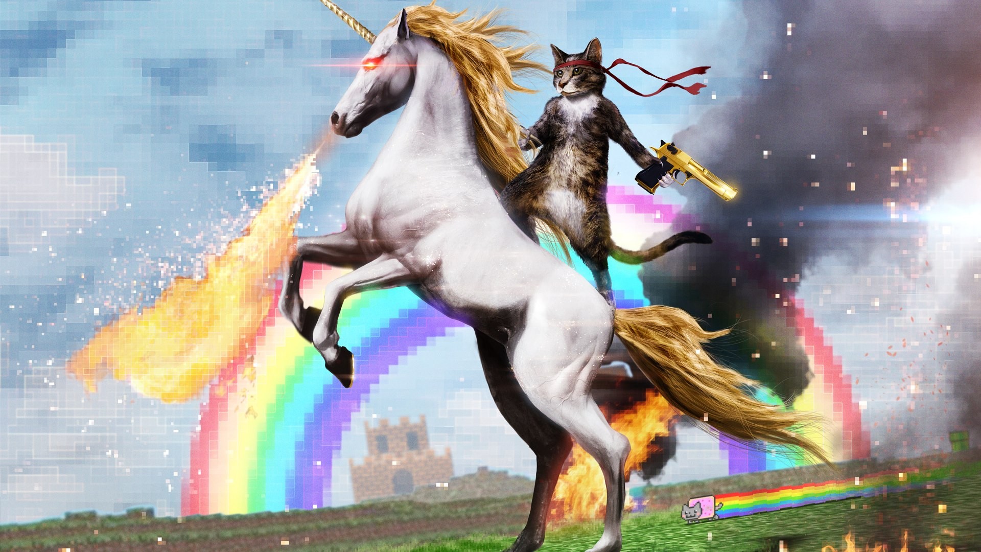 fantasy, Unicorn, Wtf, Funny, Sci fi, Cat, Cats Wallpaper