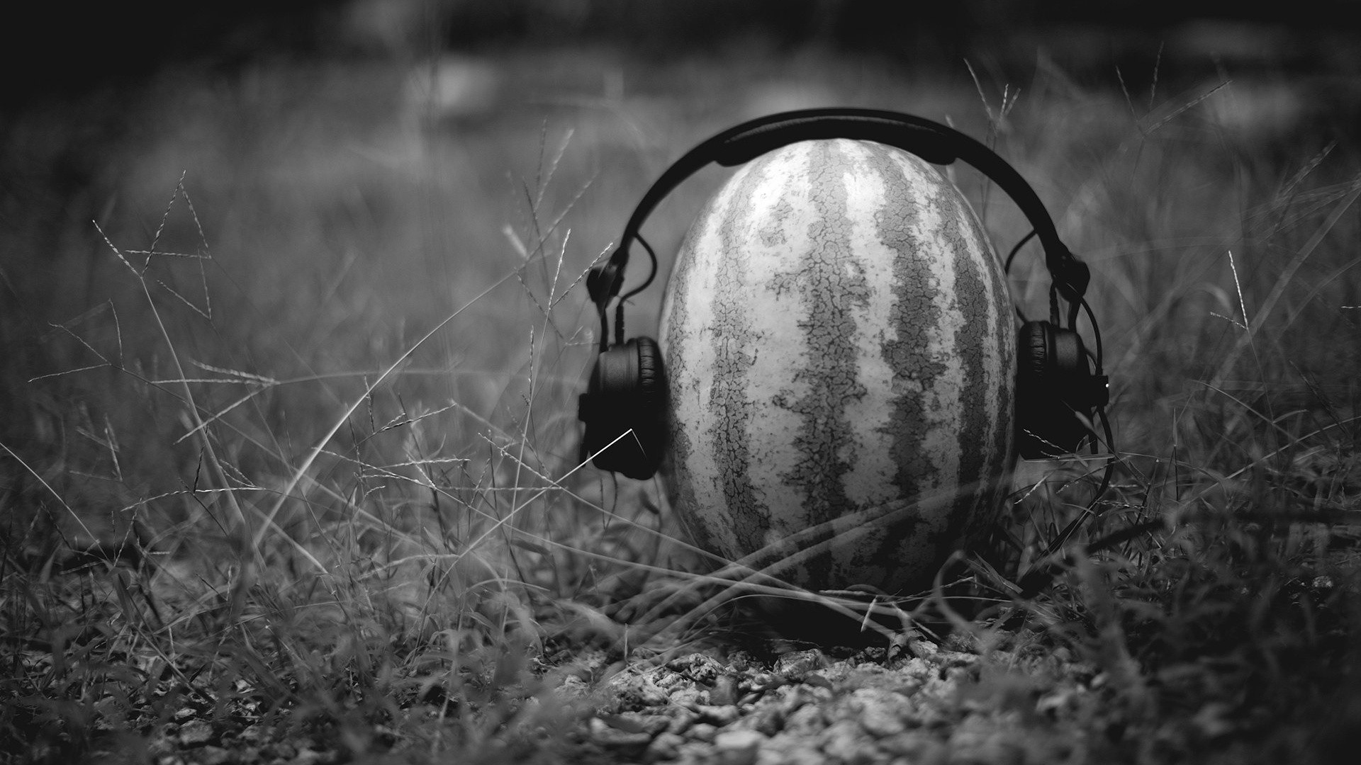 black, And, White, Music, Fun Wallpaper