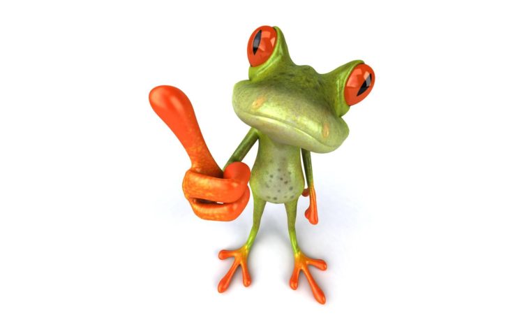 funny, Frogs HD Wallpaper Desktop Background