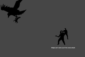 ninjas, Cant, Catch, You, If, Crows