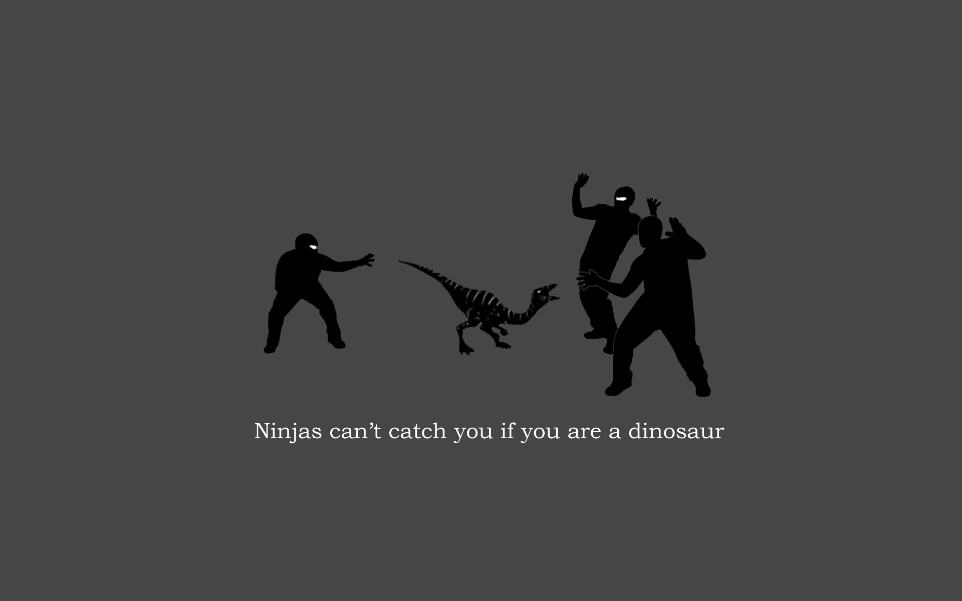 ninjas, Dinosaurs, Ninjas, Cant, Catch, You, If Wallpaper