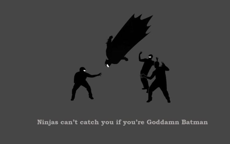 goddamn, Batman, Ninjas, Cant, Catch, You, If HD Wallpaper Desktop Background