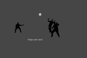 ninjas, Ninjas, Cant, Catch, You, If