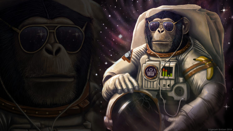 monkey, Sunglasses, Astronaut, Wtf, Banana HD Wallpaper Desktop Background