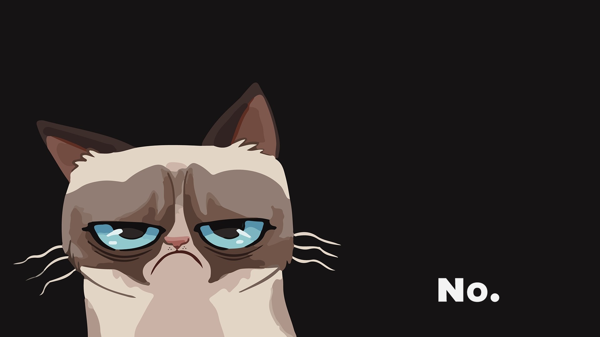 cat, Grumpy Wallpaper