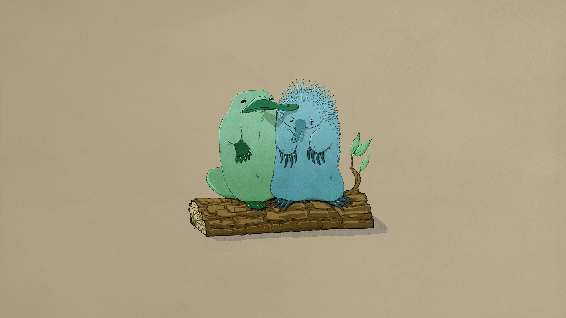 platypus, Logs, Friendship, Echidna Wallpaper