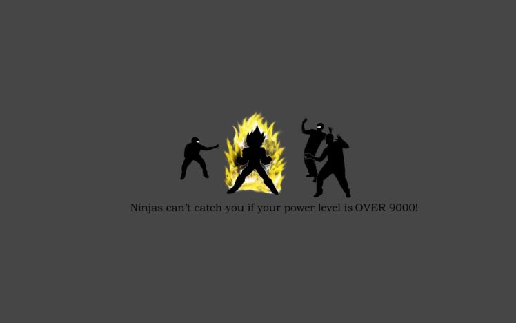 ninjas, Ninjas, Cant, Catch, You, If, Dragonball HD Wallpaper Desktop Background