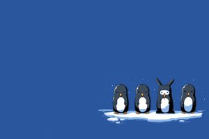 minimalistic, Penguins