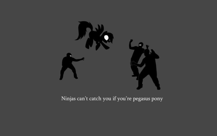 ninjas, Ninjas, Cant, Catch, You, If, Pegasus, My, Little, Pony, Rainbow, Dash HD Wallpaper Desktop Background