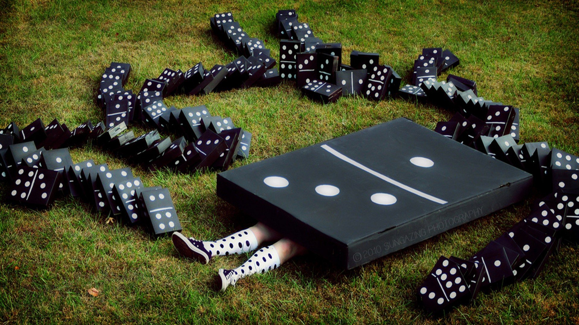 funny, Dominos, Game, Photo, Manipulation Wallpaper