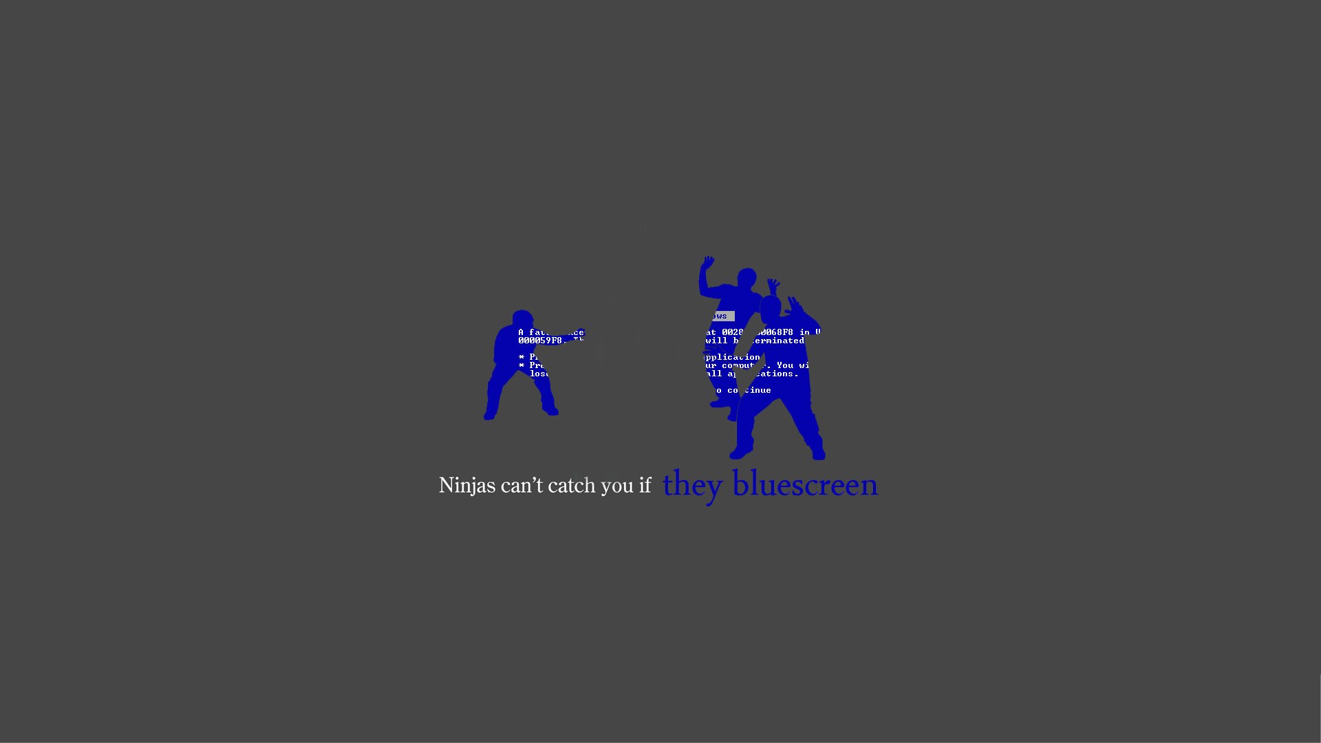 ninjas, Cant, Catch, You, If, Blue, Screen, Of, Death Wallpaper