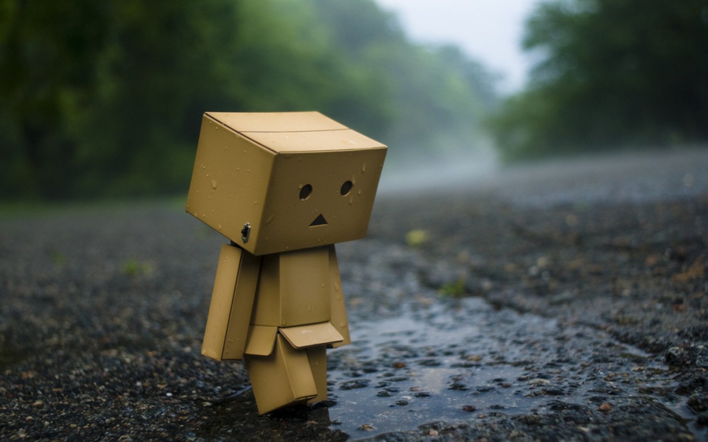 danboard Wallpaper