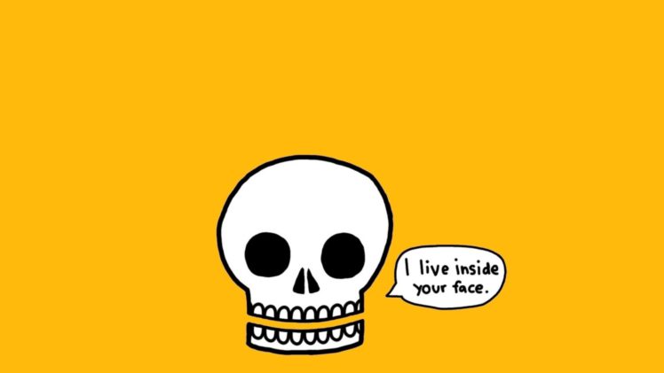 skulls, Minimalistic, Funny HD Wallpaper Desktop Background